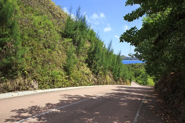 Nieuwe weg rond het hotel Raffles Praslin, Seychellen. — Stockfoto