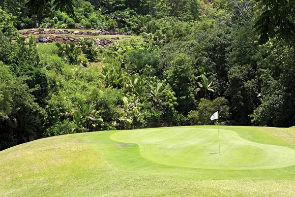 Beau parcours de golf au Constance Lemuria Resort . — Photo