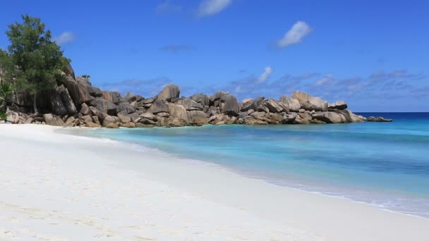 Onde sulla bellissima spiaggia Grande Anse . — Video Stock