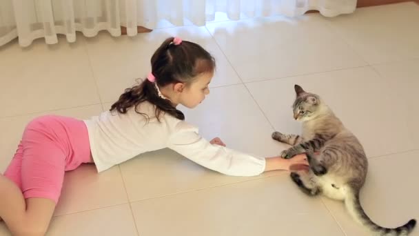 Menina se divertindo brincando com gato . — Vídeo de Stock