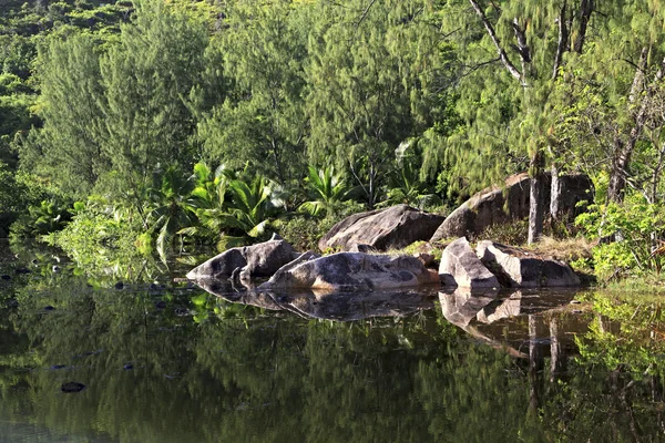 Beautiful lake with stone blocks near the Le Chevalier Bay Guesthouse — Stock Photo, Image