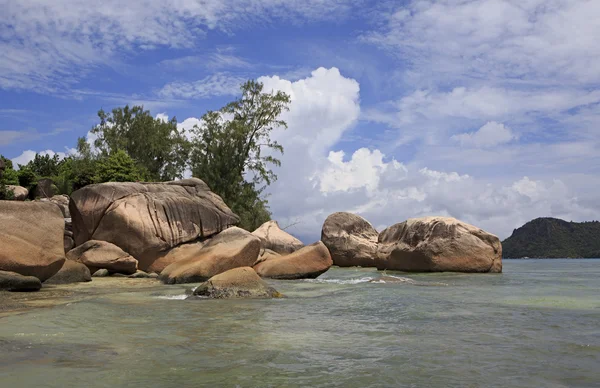 Prachtig strand Anse Boudin — Stockfoto