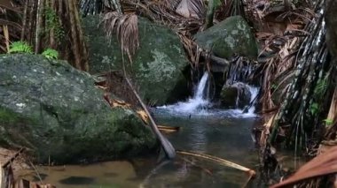 NET akışı Vallee de Mai doğa rezerv