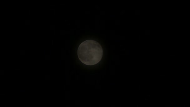 Vollmond bewegt sich zwischen den Wolken am Nachthimmel. Zeitraffer — Stockvideo