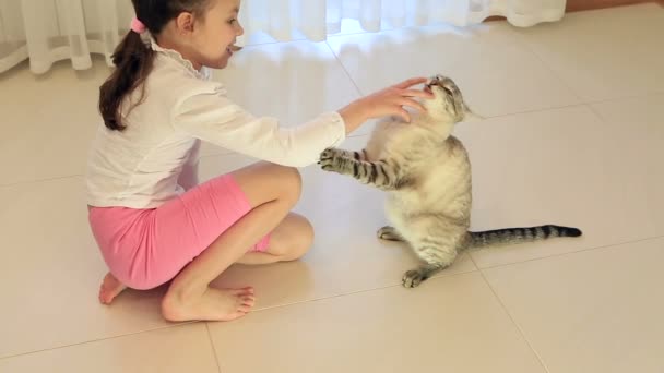Ragazzina divertirsi giocando con il gatto . — Video Stock