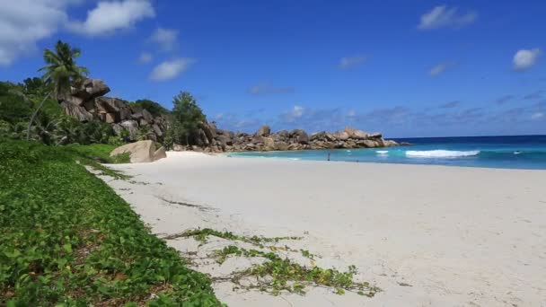 Прекрасный пляж Grande Anse. Время покажет — стоковое видео