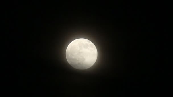 Volle maan verplaatsen tussen de wolken in de nachtelijke hemel. — Stockvideo