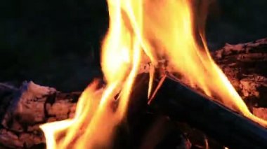 Güzel ateş alevler içinde doğa.