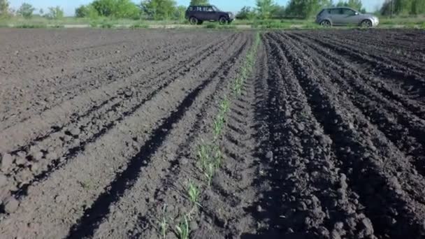 Campo arado pronto para sementeira . — Vídeo de Stock