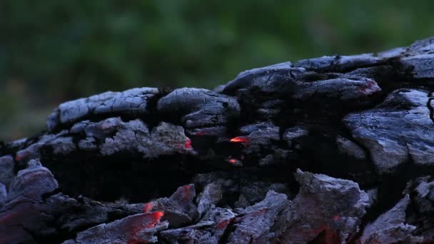 Lindo tronco a arder no fogo . — Vídeo de Stock