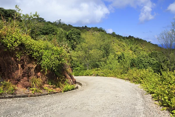 Schilderachtige weg op Mount Zimbvabve. — Stockfoto