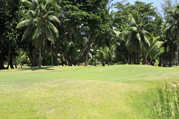 A Constance Lemuria Resort Golf course. — Stock Fotó