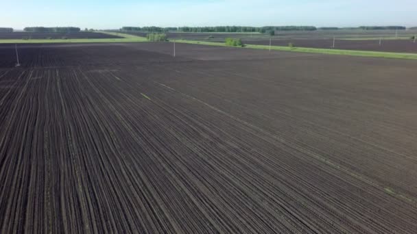 Campo fluido listo para la siembra . — Vídeo de stock