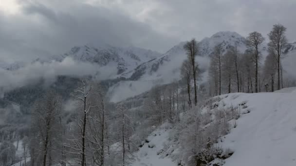 Панорама Роза Хутор альпійський курорт — стокове відео