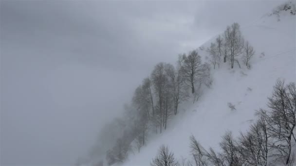 Beautiful mountain peaks of Caucasus Mountains in the fog — Stock Video