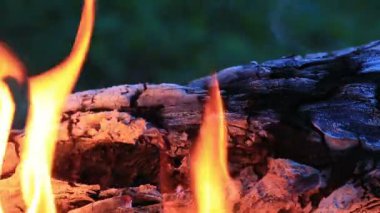 Güzel ateş alevler içinde doğa.