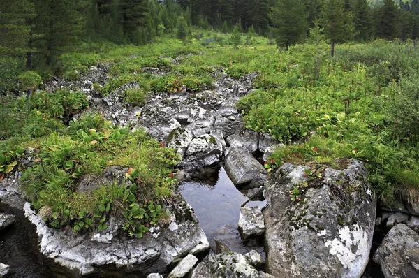 Bel condotto con pietre tra il quinto e il sesto lago Karakol . — Foto Stock