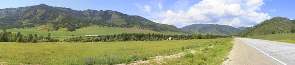 Schöne Aussicht auf den Chuysky Trakt im Altai-Gebirge. — Stockfoto