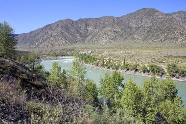 Dağ nehir Chuysky Trakt boyunca Katun