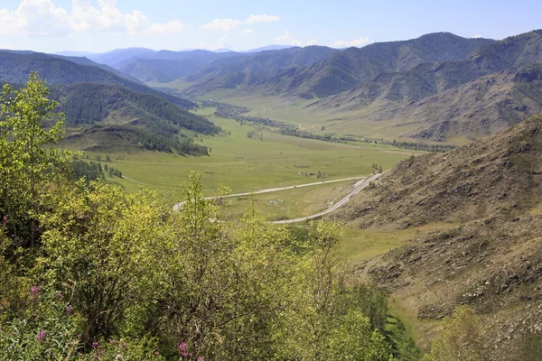 Schöne Aussicht auf das Altai-Gebirge auf dem Pass chike taman. — Stockfoto