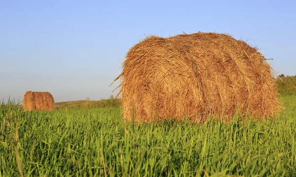 Beautiful haystacks on green lawn — Stock Photo, Image