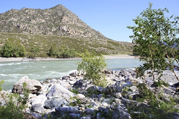 Слияние горных рек Большой Илгумен и Катунь . — стоковое фото