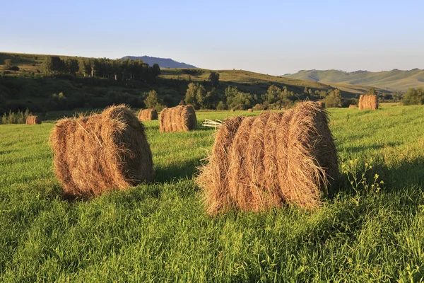 Beautiful haystacks on green lawn in the mountains. — Stock Photo, Image
