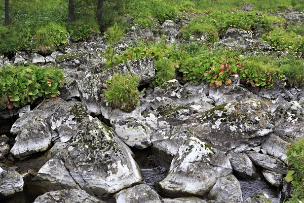 Duct with stones between the fifth and sixth Karakol lakes. — Stock Photo, Image