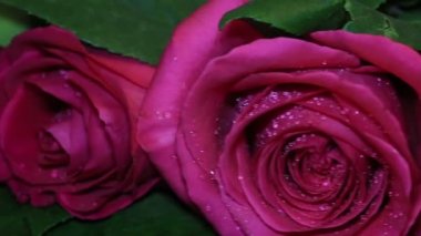 Pembe Güllü romantik hediye altın yüzük.