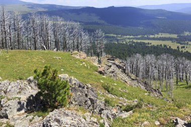 Tiyahty tepesinden görünümü Altay Dağları.