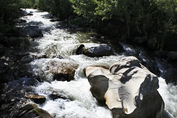 Tormentoso río de montaña Big Ilgumen en la República de Altai . —  Fotos de Stock