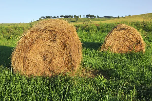 Yeşil çim üzerinde güzel haystacks — Stok fotoğraf