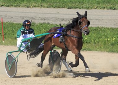 Hipodrom Sibirskoe podvorie paça yarışları