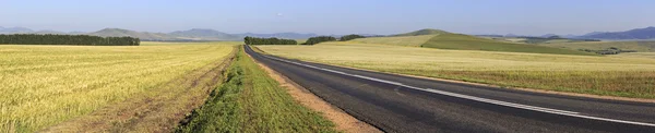 Beautiful panorama the road among farm fields. — Stock Photo, Image