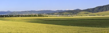 Güzel panorama tarım alanları ve Belokurikha kasabası.