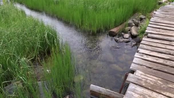 Adaptación para lavar ropa de cama en un río de montaña . — Vídeos de Stock