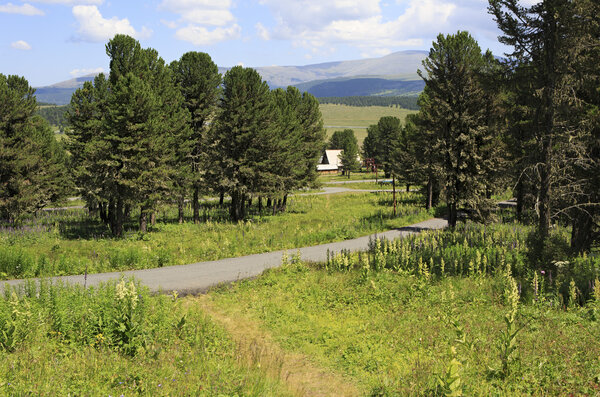 Спортивный комплекс Семинский. Биатлонисты
.