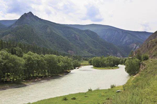 Río Chuya cerca de Chuysky Trakt — Foto de Stock