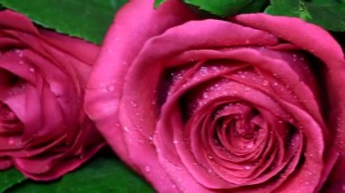 Pembe Güllü romantik hediye altın yüzük.