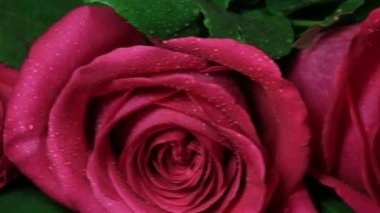 Pembe Güllü romantik hediye altın yüzük.