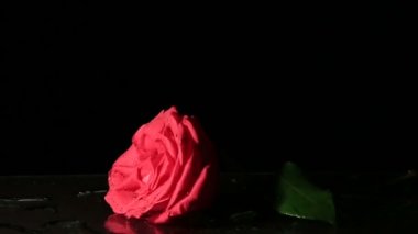 Rose suya düşüyor. Ağır çekim.