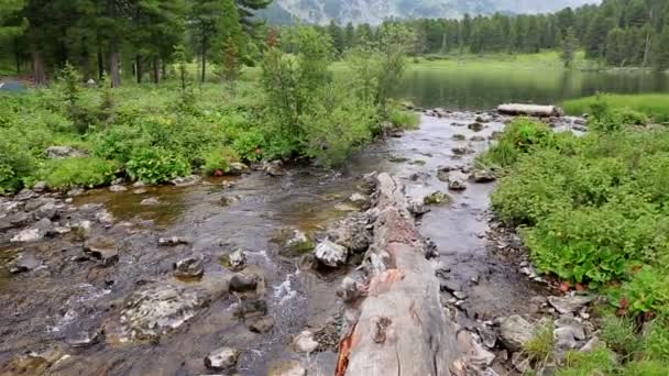 Flow between the sixth and seventh Karakol lakes. — Stock Video