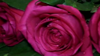 Pembe Güllü romantik hediye altın yüzük.