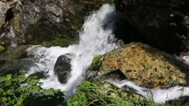 Güzel Muehtinsky şelale Altay Cumhuriyeti.