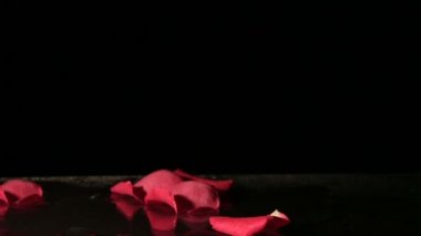 Gül yaprakları su düşen. Ağır çekim.