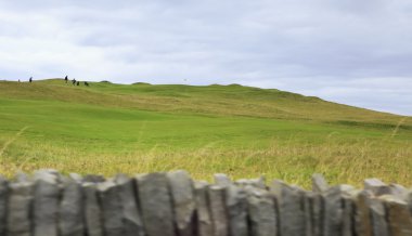Güzel yeşil golf sahası kırsal İrlanda.