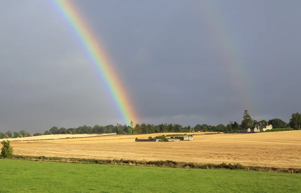 Bel arc-en-ciel dans le ciel sombre sur le champ la récolte de blé . — Photo