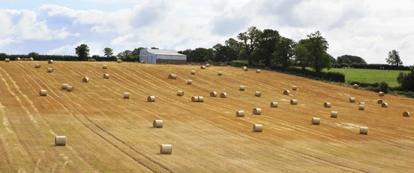 Schönes Feld mit Strohballen in irischer Landschaft — Stockfoto