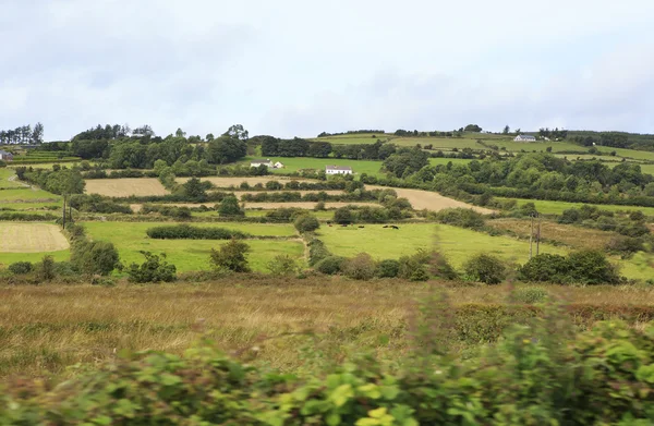 Scenic view of Rural farmhouses among farmland. — Stock Photo, Image