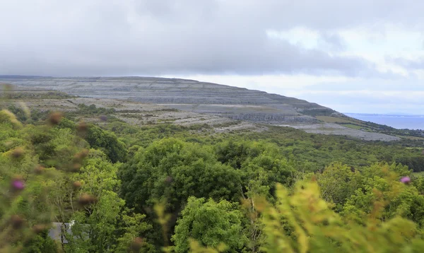 Γραφικό τοπίο του εθνικού πάρκου στο Connemara — Φωτογραφία Αρχείου